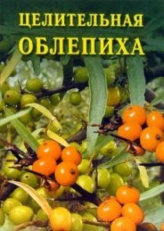 Иван Дубровин, Целительная облепиха